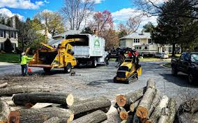  Granite Bay, CA Tree Removal Pros