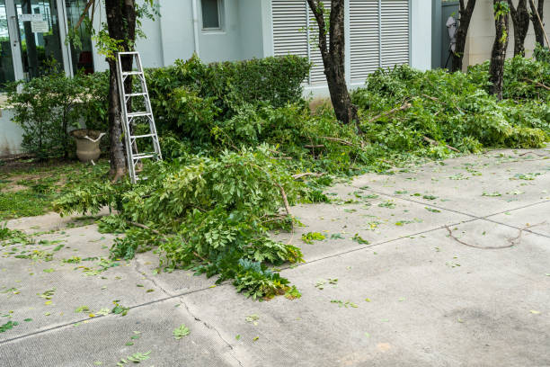Best Lawn Watering Services  in Granite Bay, CA